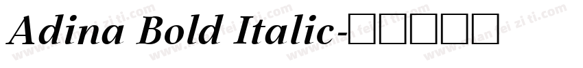 Adina Bold Italic字体转换